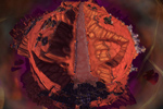 Hellfire Peninsula